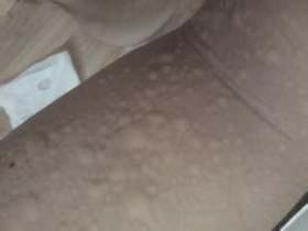 ݡ������Ҫ����ڵı�������